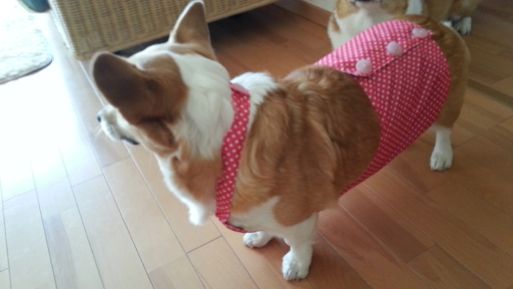 20130227_154321.jpg