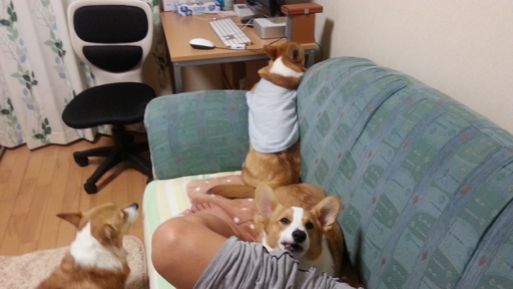 20130227_201015.jpg
