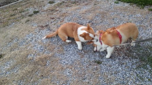 20130228_173625.jpg