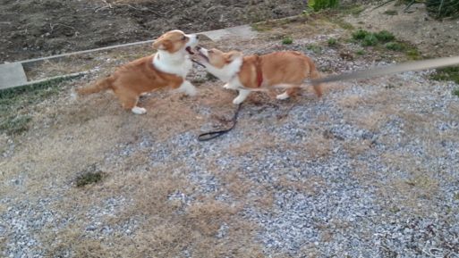 20130228_173635.jpg