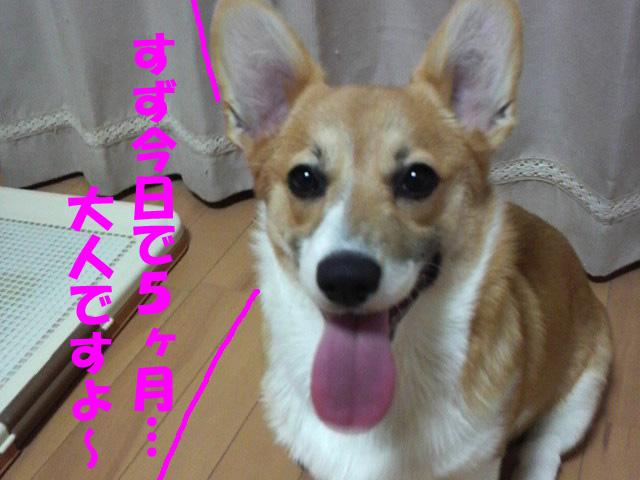 すず5ヶ月1