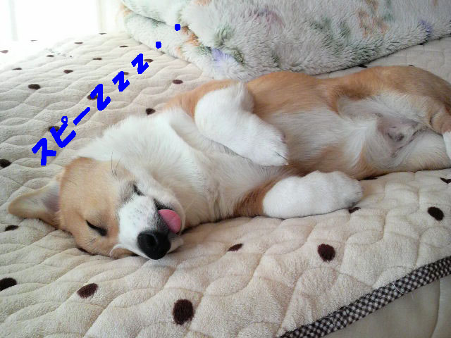 相変わらず2