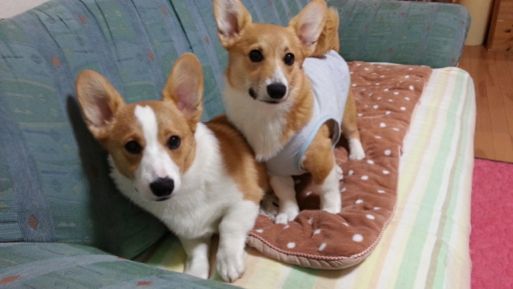 20130301_195906.jpg