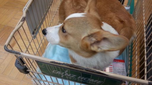 20130302_115609.jpg