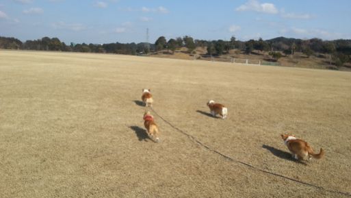 20130303_140958.jpg