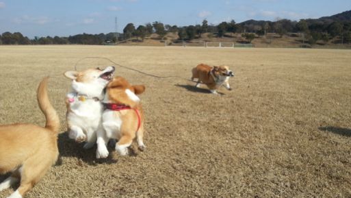 20130303_141008.jpg