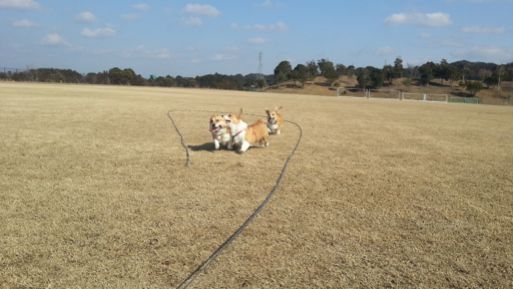 20130303_141050.jpg