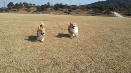 20130303_141311.jpg