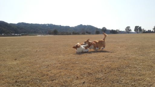 20130303_141820.jpg