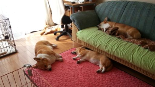 20130309_084654.jpg