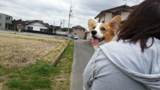 20130313_122551.jpg