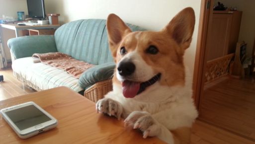 20130313_124840.jpg