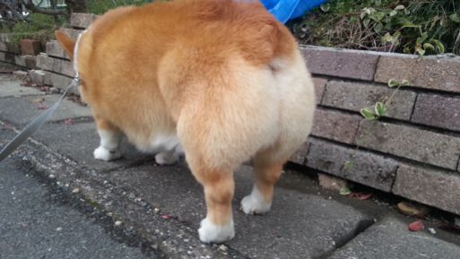 20130314_161524.jpg