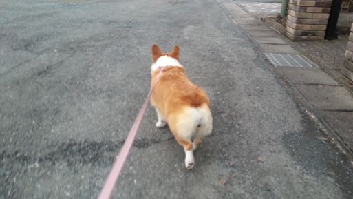 20130314_161533.jpg