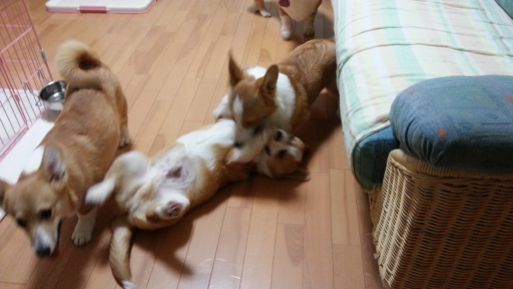 20130315_201803.jpg