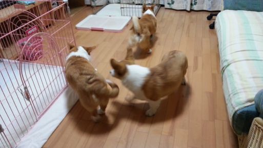 20130315_201816.jpg