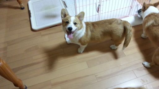 20130315_201822.jpg