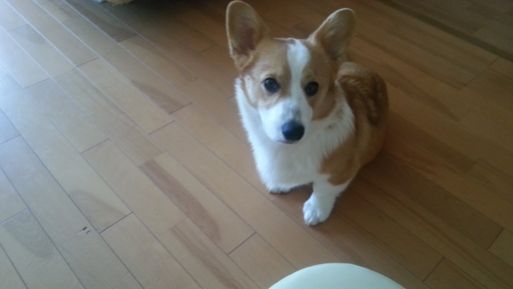20130316_081005.jpg