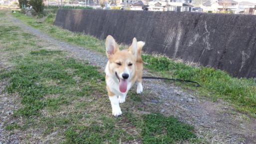 20130319_161438.jpg
