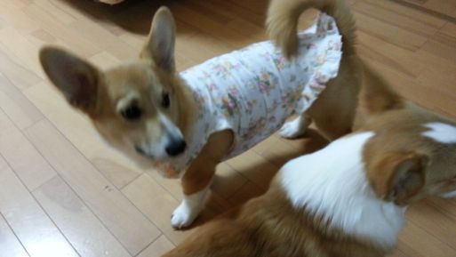 20130322_173022.jpg