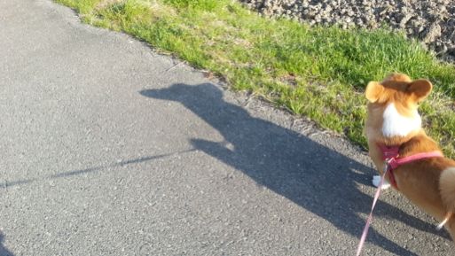 20130325_162547.jpg