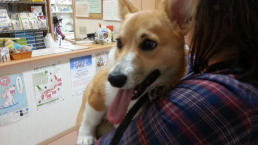 20130325_180815.jpg