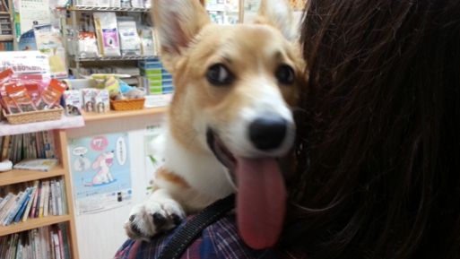 20130325_180841.jpg
