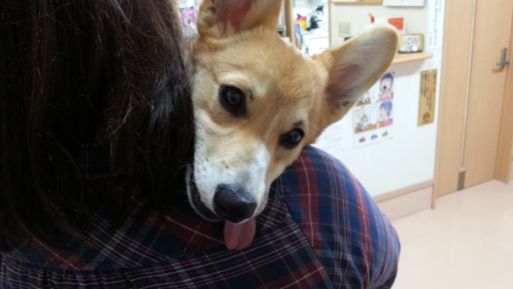 20130325_180903.jpg