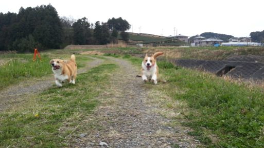 20130328_162330.jpg