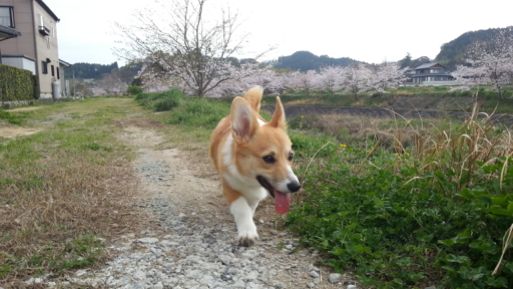 20130401_162149.jpg