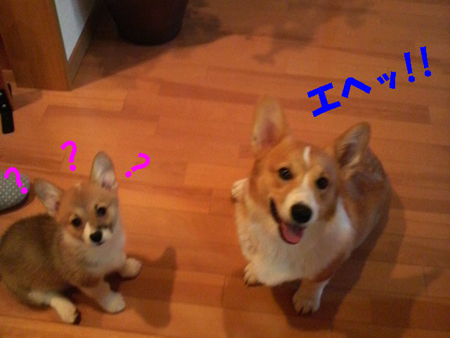 2人でいたずら5jpg