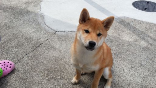 20130409_101404.jpg