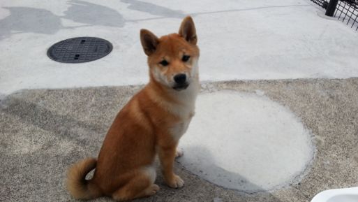 20130409_101424.jpg