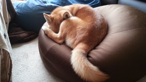 20130409_115816.jpg