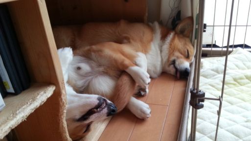 20130411_150006.jpg