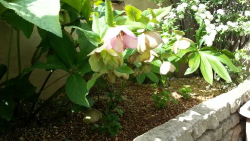 20130419_085221.jpg