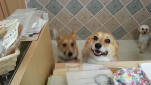 20130422_135456.jpg