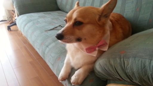 20130422_142444.jpg