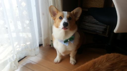 20130422_142454.jpg