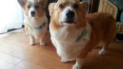 20130422_142510.jpg