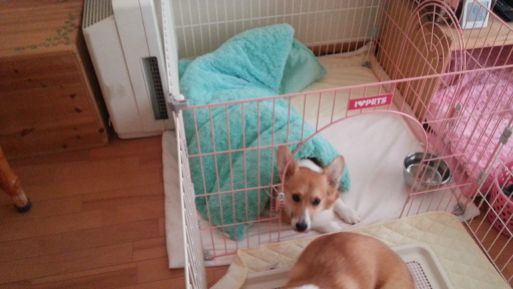 20130423_063451.jpg