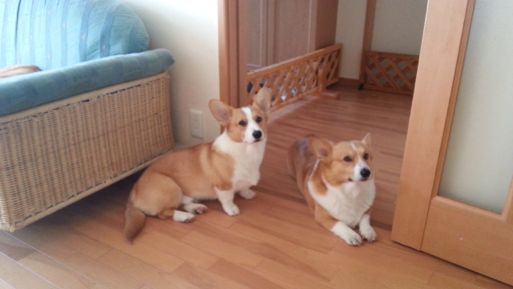 20130426_145828.jpg