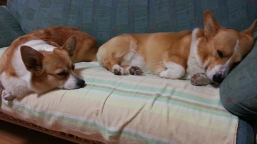 20130426_183829.jpg