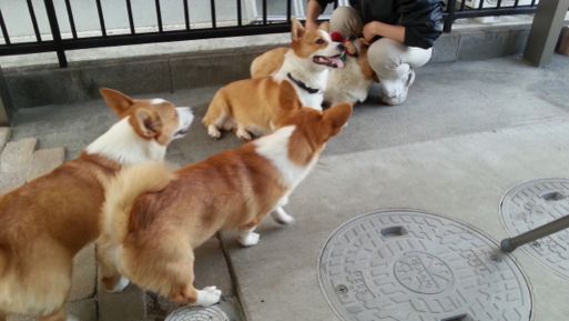 20130501_172821.jpg