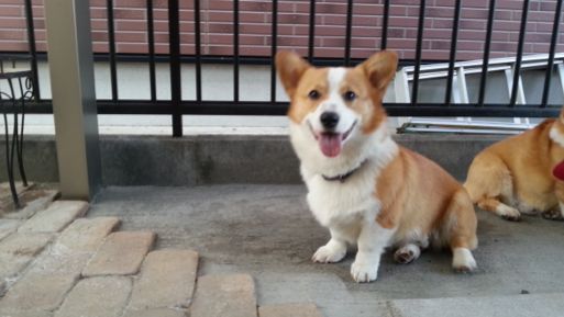 20130501_172842.jpg