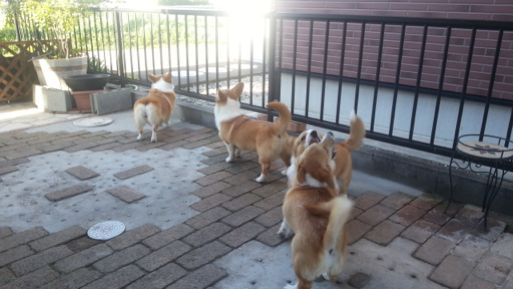 20130502_165432.jpg
