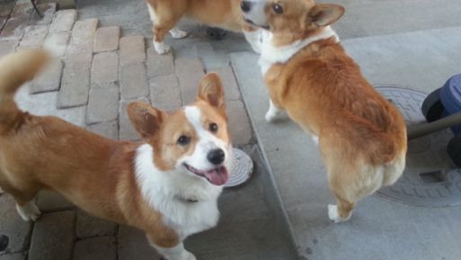 20130502_171028.jpg