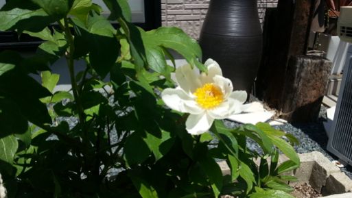20130503_114609.jpg
