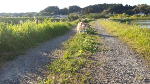 20130503_170032.jpg