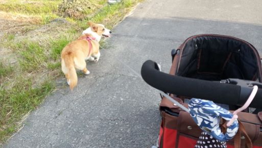 20130516_163510.jpg
